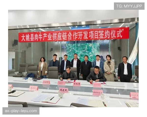 球员经纪公司之间的竞争与合作态势，球员和经纪人分成比例